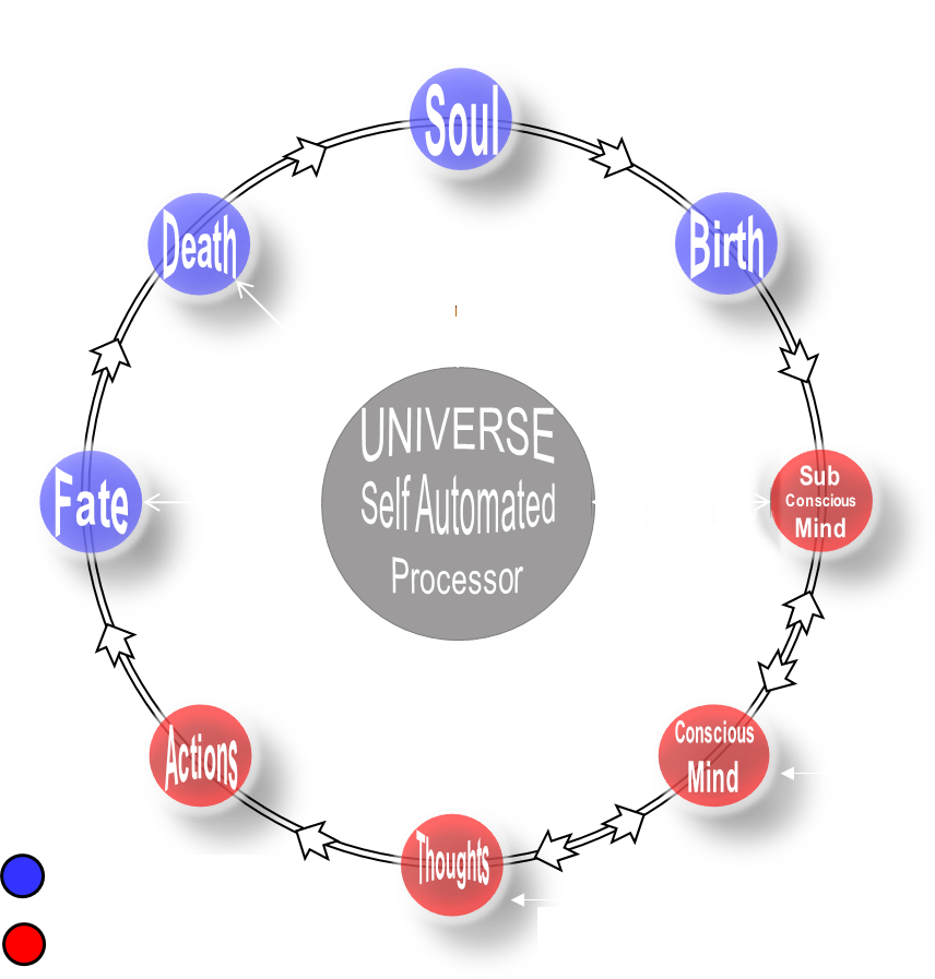 Human Life cycle process